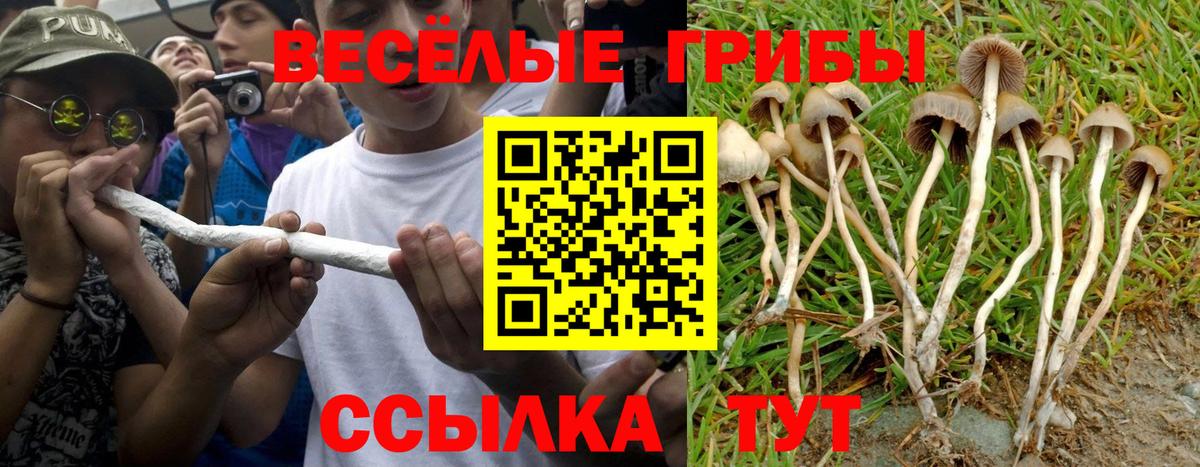 как найти закладки  Вход с VPN  Алексеевка  Галлюциногенные грибы мицелий 